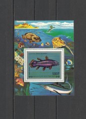 COMORES 1977 FAUNA MARINA PESTI foto
