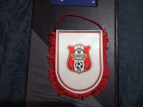 Fanion A S Vointa Valisoara