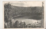bnk cp Tusnad - Lacul Sf Ana - circulata 1954 - Libraria noastra