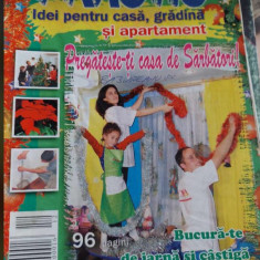 revista PRACTIC IDEI pentru casă, grădină și apartament - decembrie 2004