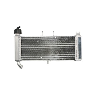 Radiator APRILIA RS4 125 2011 2017 RAD-644 foto
