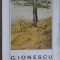 GHEORGHE IONESCU. ALBUM PICTURA-MARIN MIHALACHE-235571