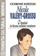 Nicole Valery-Grossu - Cicerone Ionitoiu foto