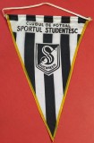 Fanion fotbal - SPORTUL STUDENTESC BUCURESTI