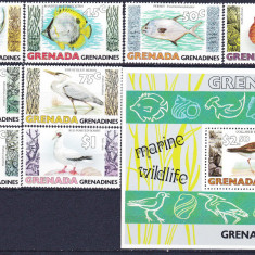 DB1 Fauna Marina Pasari Pesti Scoici 1979 Grenada Grenadines 8 v. + SS MNH