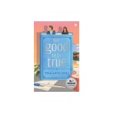 Too Good to Be True: A smart, funny will-they-won't-they romance