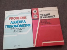 LIVIU PIRSAN PROBLEME DE MATEMATICA PENTRU ELEVII DE LICEU CLASELE IX-XII 2 VOLUME