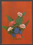 CPIB 24520 CARTE POSTAL - FELICITARE, COS CU GAROAFE, NECIRCULATA, 1973