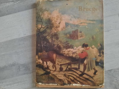 Bruegel de Ion Biberi foto