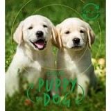 Lifecycles - Pup to Dog