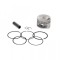 Set piston Piaggio Vespa 4T, 125cc, 57 mm