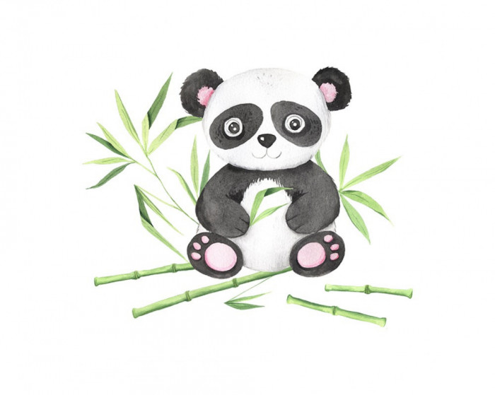 Sticker decorativ Urs Panda, Multicolor, 70 cm, 3652ST