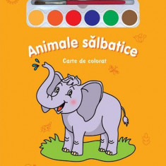 Miracolul culorilor. Animale sălbatice (carte de colorat + acuarelă + pensulă) - Board book - *** - Prut