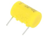 Siguranţă 1A 125VAC Utilizări Speciale