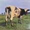 cd pink floyd atom heart mother digipack