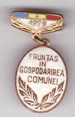 Insigna Fruntas in gospodarirea comunei 1979 foto