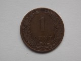 1 CENT 1905 OLANDA, Europa