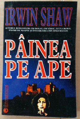 (C507) IRWIN SHAW - PAINEA PE APE foto