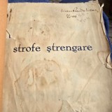 ION PRIBEAGU - STROFE STRENGARE