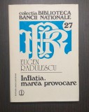 INFLATIA, MAREA PROVOCARE - EUGEN RADULESCU