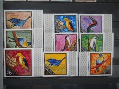 A2 SERIE GUINEA PASARI foto