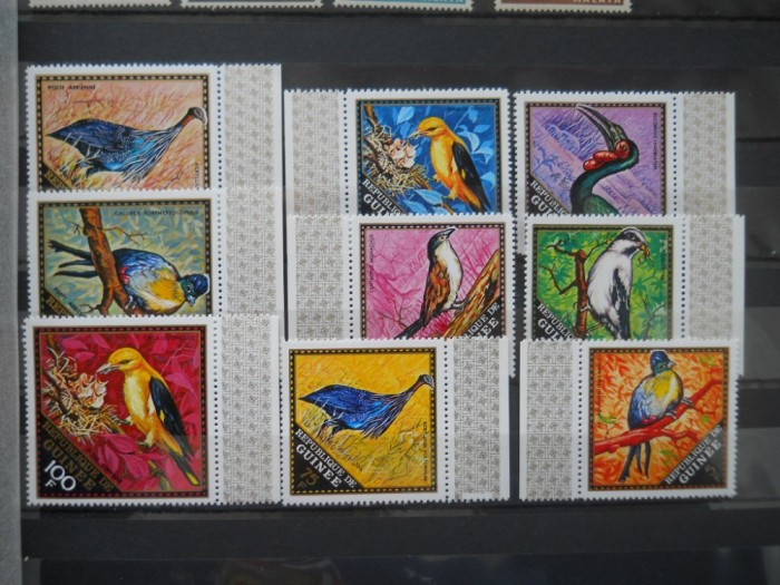 A2 SERIE GUINEA PASARI