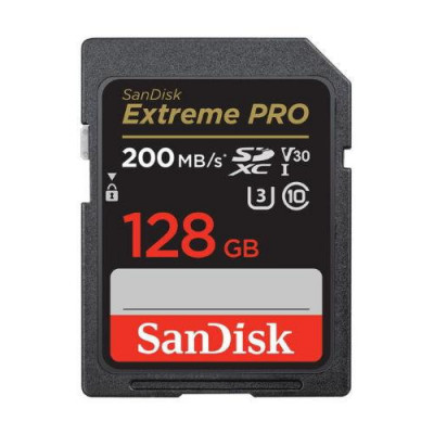 SD Card 128GB CL10 SDSDXXD-128G-GN4IN foto