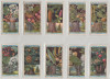 1924 Copaci si arbusti infloriti, set complet 50 cartonase WILLS Cigarette Cards