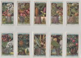 1924 Copaci si arbusti infloriti, set complet 50 cartonase WILLS Cigarette Cards