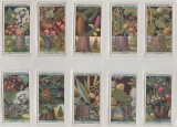 1924 Copaci si arbusti infloriti, set complet 50 cartonase WILLS Cigarette Cards