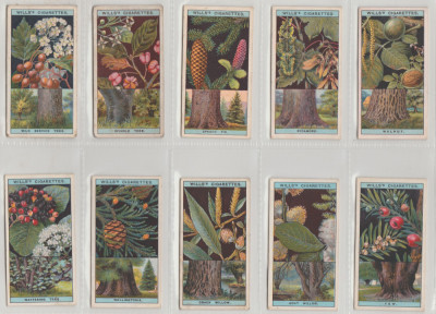 1924 Copaci si arbusti infloriti, set complet 50 cartonase WILLS Cigarette Cards foto