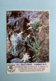 Calendar 1996 Bucovina Turism Suceava