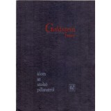 &Aacute;lom az utols&oacute; pillanatr&oacute;l - Goldstein Imre