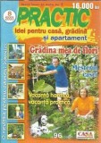 Revista Practic. Idei pentru casa, gradina si apartament, nr.8/2003