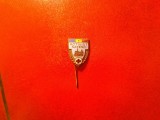 Insigna veche Activist Satesc de Cruce Rosie , h= 1,7 cm defecte la email