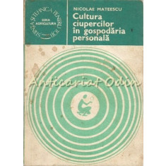 Cultura Ciupercilor In Gospodaria Personala - Nicolae Mateescu