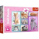 PUZZLE TREFL 60 PISICUTE DRAGUTE