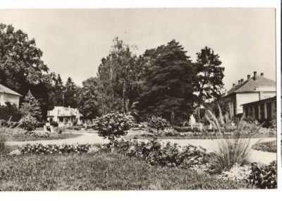 CPIB 17414 CARTE POSTALA - ORADEA, BAILE FELIX foto