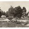 CPIB 17414 CARTE POSTALA - ORADEA, BAILE FELIX