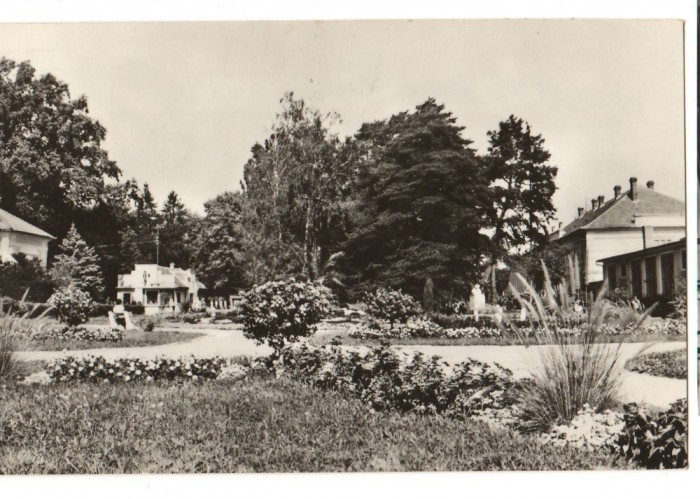 CPIB 17414 CARTE POSTALA - ORADEA, BAILE FELIX