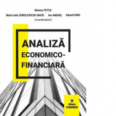 Analiza economico-financiara - Ion Anghel, Eduard Dinu, Monica Petcu, Maria-Iulia Sobolesvchi-David