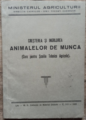 Cresterea si ingrijirea animalelor de munca// 1949 foto