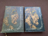 Comentariu La Divina Comedie - George CosbuC 2 VOLUME