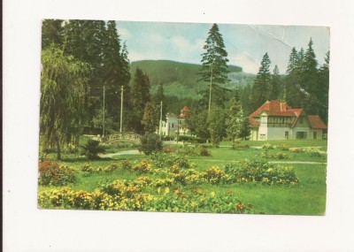 CA7 Carte Postala - Borsec , circulata 1968 foto