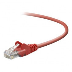 Patchcord Belkin UTP Cat 5e 3m Red foto