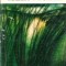 Marea de iarba - Conrad Richter