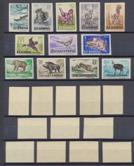 Romania 1956 V&amp;acirc;nătoarea - serie nedantelată 12 timbre MNH foto