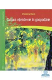 Cultura vitei-de-vie in gospodarie, Casa