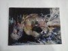 LIVIU MIHAI - ALBUM