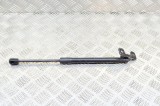 Amortizor capota st&acirc;nga față TESLA MODEL 3 2018 OEM: 1091472-00-B 12151581